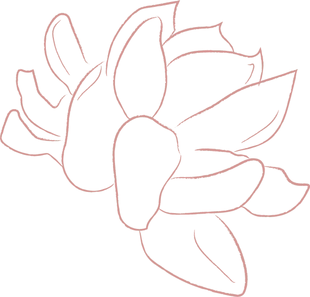 Rose Line Drawing