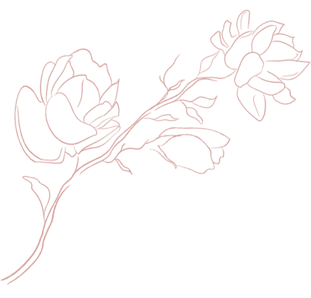 Rose Line Drawing